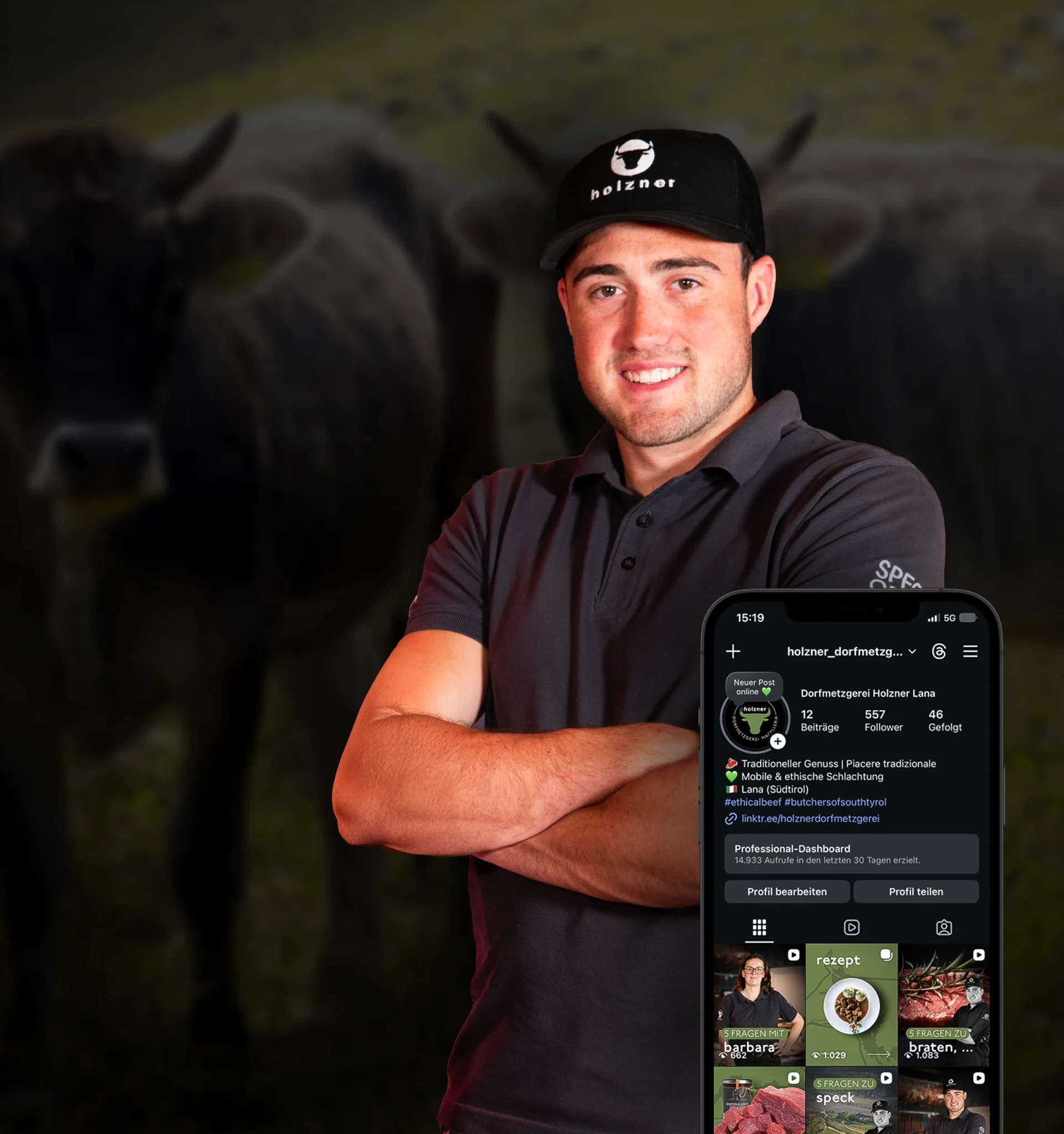 Razze bovine